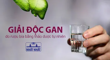 Giải độc gan do rượu bia bằng thảo dược