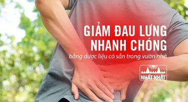 Giảm đau lưng nhanh chóng bằng dược liệu có sẵn trong vườn nhà