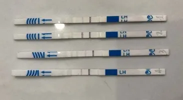 Giải đáp: Que thử rụng trứng lên 2 vạch trong mấy ngày?