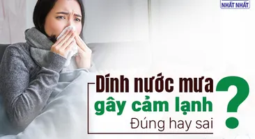 Dính nước mưa gây cảm lạnh: Đúng hay sai?