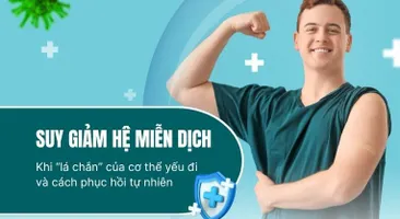 Suy giảm hệ miễn dịch – Khi “lá chắn” của cơ thể yếu đi và cách phục hồi tự nhiên