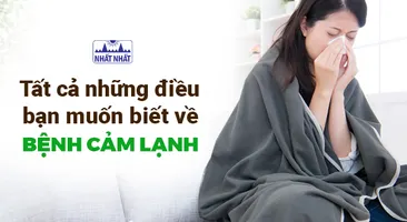Tất cả những điều bạn muốn biết về bệnh cảm lạnh