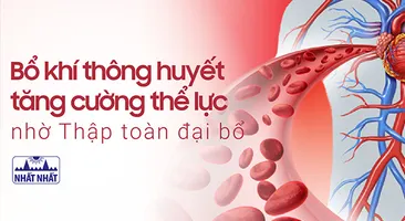 Bổ khí thông huyết tăng cường thể lực nhờ Thập toàn đại bổ
