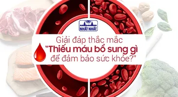 Giải đáp thắc mắc “Thiếu máu bổ sung gì để đảm bảo sức khỏe?”
