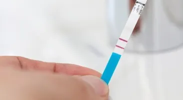 Thử que sau bao nhiêu ngày quan hệ để có kết quả chính xác?