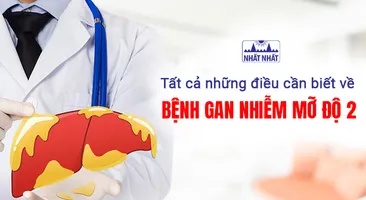 Tất cả những điều cần biết về bệnh gan nhiễm mỡ độ 2