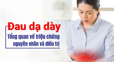 Đau dạ dày: Tổng quan về triệu chứng, nguyên nhân và điều trị