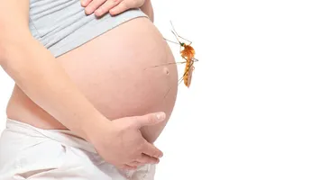 Bà bầu bị muỗi đốt có sao không?