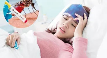 Giải đáp: Sốt xuất huyết làm gì cho nhanh khỏi?