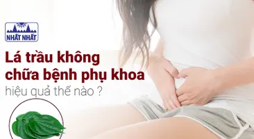 Lá trầu không chữa bệnh phụ khoa hiệu quả thế nào? Đây là sự thật!