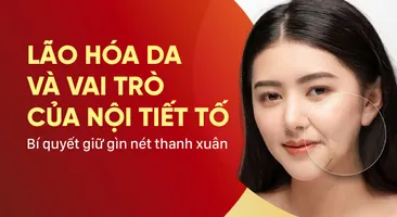 Lão hóa da và vai trò của nội tiết tố: Bí quyết giữ gìn nét thanh xuân