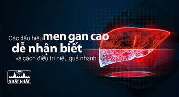 Các dấu hiệu men gan cao dễ nhận biết và cách điều trị hiệu quả nhanh
