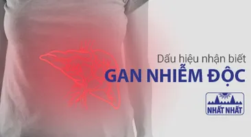 Dấu hiệu nhận biết gan nhiễm độc và biện pháp bảo vệ gan