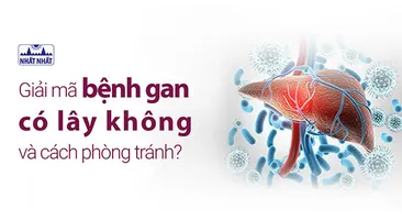 Giải mã bệnh gan có lây không và cách phòng tránh