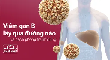 Viêm gan B lây qua đường nào và cách phòng tránh đúng?