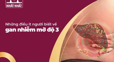 Những điều ít người biết về gan nhiễm mỡ độ 3