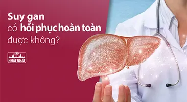 Suy gan có hồi phục hoàn toàn được không?