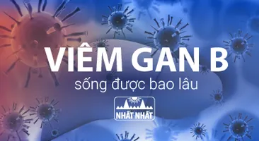 Bị viêm gan B mạn tính có thể sống được bao lâu? 