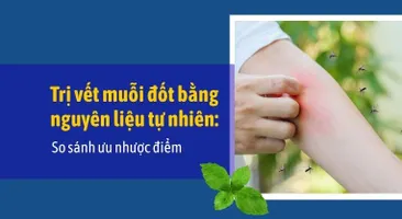 Trị vết muỗi đốt bằng nguyên liệu tự nhiên: So sánh ưu nhược điểm