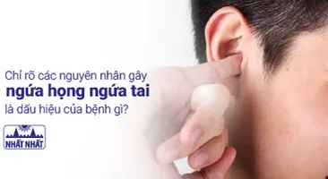 Chỉ rõ các nguyên nhân gây ngứa họng ngứa tai và cách điều trị