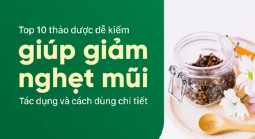 Top 10 thảo dược dễ kiếm giúp giảm nghẹt mũi - Tác dụng và cách dùng