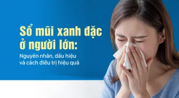 Sổ mũi xanh đặc ở người lớn: Nguyên nhân, dấu hiệu và cách điều trị