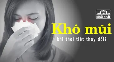 Cảnh báo tình trạng khô mũi khi thời tiết thay đổi và cách phòng ngừa