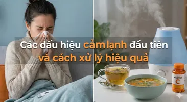 Các dấu hiệu cảm lạnh đầu tiên và cách xử lý hiệu quả
