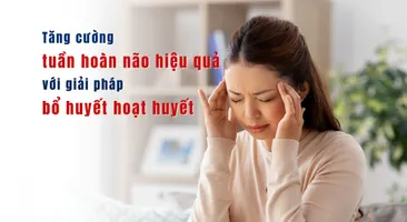 Tăng cường tuần hoàn não hiệu quả với giải pháp bổ huyết hoạt huyết