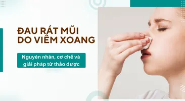 Đau rát mũi do viêm xoang: Nguyên nhân, cơ chế và giải pháp từ thảo dược