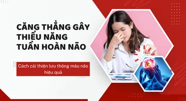 Căng thẳng gây thiểu năng tuần hoàn não: Cách cải thiện lưu thông máu não hiệu quả