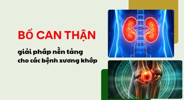 Bổ can thận – giải pháp nền tảng cho các bệnh xương khớp
