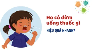Bạn có biết: Ho có đờm uống thuốc gì hiệu quả nhanh?