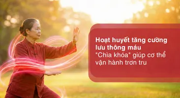 Hoạt huyết tăng cường lưu thông máu – "chìa khóa" giúp cơ thể vận hành trơn tru