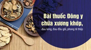 Bài thuốc Đông y chữa xương khớp, đau lưng, đau đầu gối, phong tê thấp