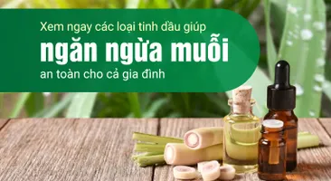 Xem ngay các loại tinh dầu giúp ngăn ngừa muỗi an toàn cho cả gia đình