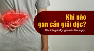 Khi nào gan cần giải độc? 10 cách giải độc gan nên làm ngay