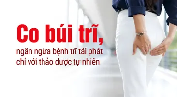 Co búi trĩ, ngăn ngừa bệnh trĩ tái phát chỉ với thảo dược tự nhiên
