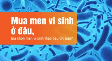Mua men vi sinh ở đâu, lựa chọn men vi sinh theo tiêu chí nào?