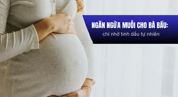 Ngăn ngừa muỗi cho bà bầu: chỉ nhờ tinh dầu tự nhiên