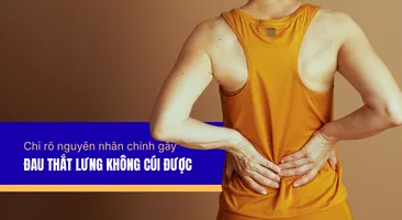Chỉ rõ nguyên nhân chính gây đau thắt lưng không cúi được