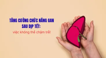 Tăng cường chức năng gan sau dịp Tết: việc không thể chậm trễ!