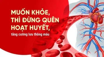 Muốn khỏe, thì đừng quên hoạt huyết, tăng cường lưu thông máu