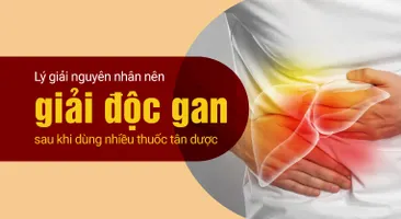 Lý giải nguyên nhân nên giải độc gan sau khi dùng nhiều thuốc tân dược