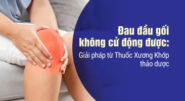 Đau đầu gối không cử động được: Giải pháp từ Thuốc Xương Khớp thảo dược