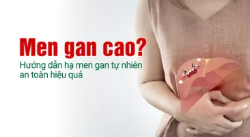 Men gan cao? Hướng dẫn hạ men gan tự nhiên an toàn hiệu quả