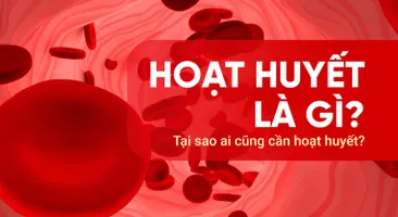 Hoạt huyết là gì? Tại sao ai cũng cần hoạt huyết?