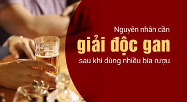 Nguyên nhân cần giải độc gan sau khi dùng nhiều bia rượu