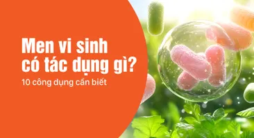 Men vi sinh có tác dụng gì? 10 công dụng cần biết