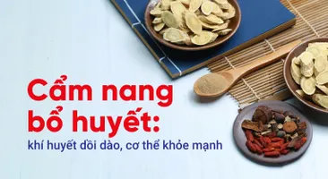 Cẩm nang bổ huyết: khí huyết dồi dào, cơ thể khỏe mạnh